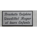 plaque de porte personnalisable argentée "calligraphie" format 75x150 mm 3 lignes.