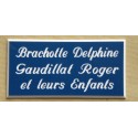 plaque de porte personnalisable bleu "calligraphie" format 75x150 mm 3 lignes.