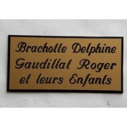 plaque de porte personnalisable doré "calligraphie" format 75x150 mm 3 lignes.
