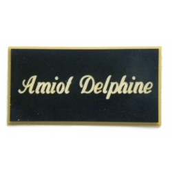 plaque de porte personnalisable noir et or "calligraphie" format 75x150 mm 1 ligne.