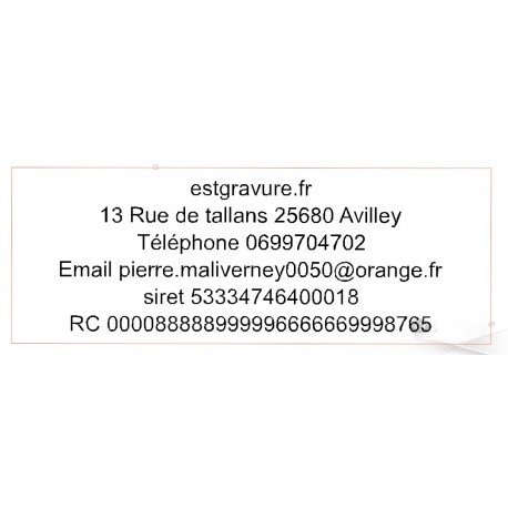 plaque de texte de remplacement COLOP PRINTER 54