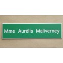 Plaque de boîte aux lettres standard 93x25mm verte