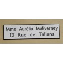 plaque de boite aux lettres standard format 25 x 93 mm 2 lignes
