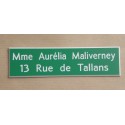 plaque de boite aux lettres,  porte, sonnette format 29 x 100 mm personnalisable 2 lignes