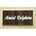 plaque de boite aux lettres,  sonnette format 25 x 50 mm personnalisable 1 ligne "anglaise"