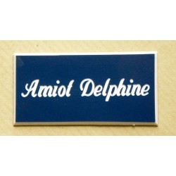 plaque de boite aux lettres,  sonnette format 25 x 50 mm personnalisable 1 ligne "anglaise"