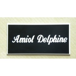 plaque de boite aux lettres,  sonnette format 25 x 50 mm personnalisable 1 ligne "anglaise"