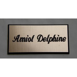 plaque de boite aux lettres,  sonnette format 25 x 50 mm personnalisable 1 ligne "anglaise"