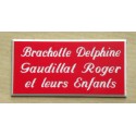 plaque de boite aux lettres,  sonnette format 25 x 50 mm personnalisable 3 lignes "anglaise"