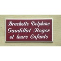 plaque de boite aux lettres,  sonnette format 25 x 50 mm personnalisable 3 lignes "anglaise"