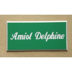 plaque de porte personnalisée "calligraphie" verte format 48 x 100 mm 1 ligne.