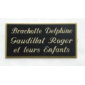 plaque de porte personnalisée "calligraphie" noire et or format 48x100 mm 3 lignes.