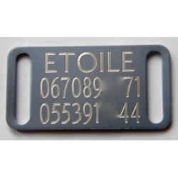 Plaque identification chien argentée petit modele