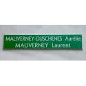 plaque de boite aux lettres,  sonnette format 20 x 100 mm personnalisable 2 lignes  fond vert