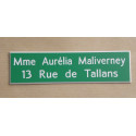 Plaque de boite aux lettres 2 lignes verte format 10 x 2,5 cm