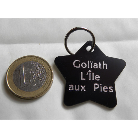 Medaille chien étoile noire aluminium gravure gratuite