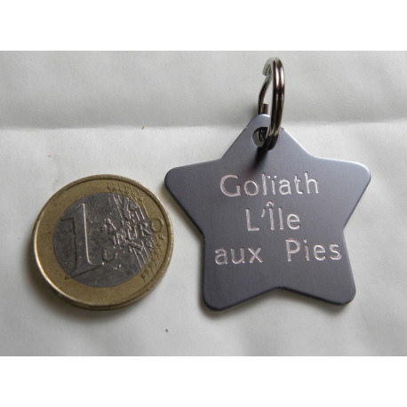 Medaille chien étoile  aluminium gravure 2 faces pour grand chien