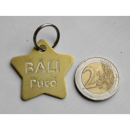 Médaille Chien Laiton brut  - Convient à GRAND CHIEN - Gravure profonde et soignée OFFERTE