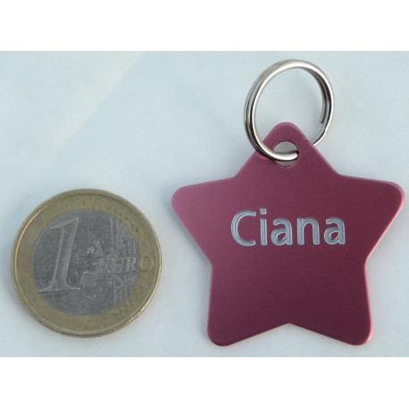 Medaille chien étoile rose aluminium gravure gratuite grand chien