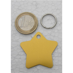 Médaille gravée chien dorée étoile (GM) personnalisable gravure 1 ou 2 faces 2