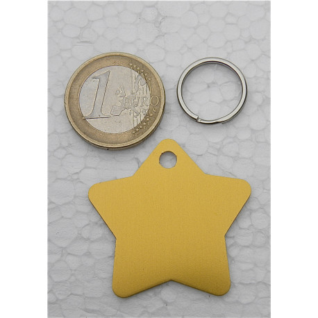 Médaille gravée chien dorée étoile (GM) personnalisable gravure 1 ou 2 faces