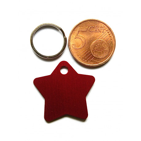 Médaille gravée étoile rouge pour chaton chiot gravure 2 faces