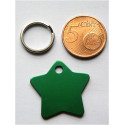 Médaille gravée étoile verte pour chaton chiot gravure 2 faces