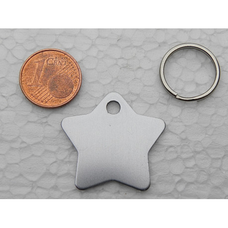 Médaille gravée étoile argentée pour chaton chiot gravure 2 faces