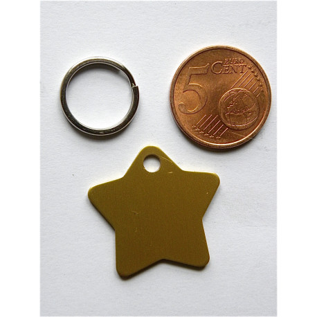 Médaille gravée étoile dorée pour chaton chiot gravure 2 faces