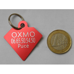 Médaille gravée diamant rouge pour grand Chien gravure 2 faces