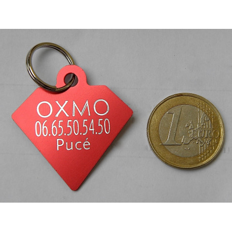 Médaille gravée diamant rouge pour grand Chien gravure 2 faces