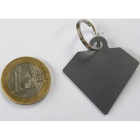 Médaille gravée diamant argenté pour grand Chien gravure 2 faces