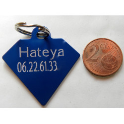 Médaille gravée diamant bleu pour grand Chien gravure 2 faces