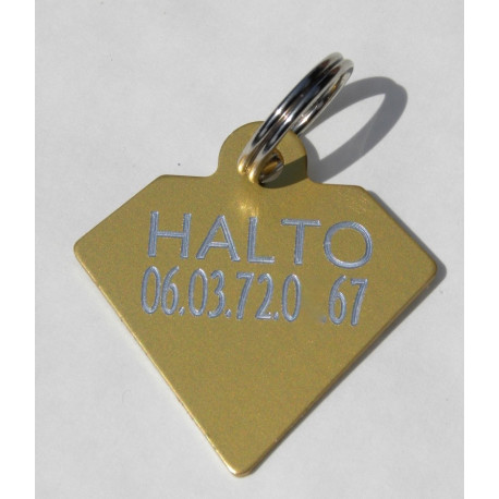 Médaille gravée diamant doré pour grand Chien gravure 2 faces