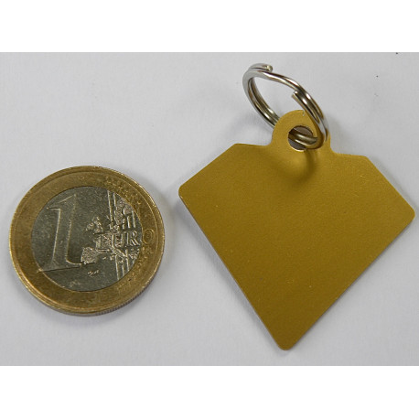 Médaille gravée diamant doré pour grand Chien gravure 2 faces