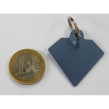 Médaille gravée diamant bleu argenté pour grand Chien gravure 2 faces