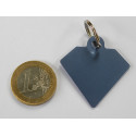 Médaille gravée diamant bleu argenté pour grand Chien gravure 2 faces