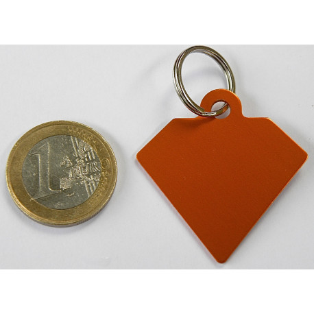 Médaille gravée diamant orange pour grand Chien gravure 2 faces