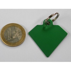 Médaille gravée diamant verte pour grand Chien gravure 2 faces