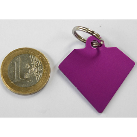 Médaille gravée diamant violette pour grand Chien gravure 2 faces