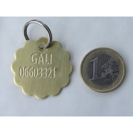 Médaille Chien Laiton brut  - Convient à GRAND CHIEN - Gravure profonde et soignée OFFERTE