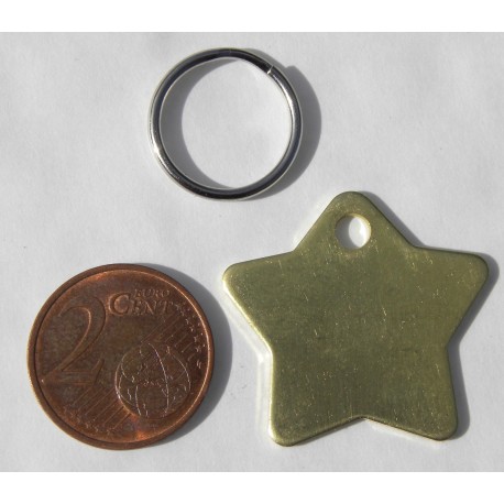 Médaille Chien Étoile Laiton brut  - Convient à PETIT CHIEN - Gravure profonde et soignée OFFERTE