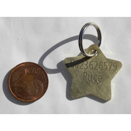 Médaille Chien Étoile Laiton brut  - Convient à PETIT CHIEN - Gravure profonde et soignée OFFERTE